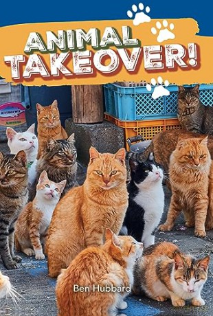 Big Cat Phonics Yr 3 Bk 9 Nf 2 [KSIĄŻKA]