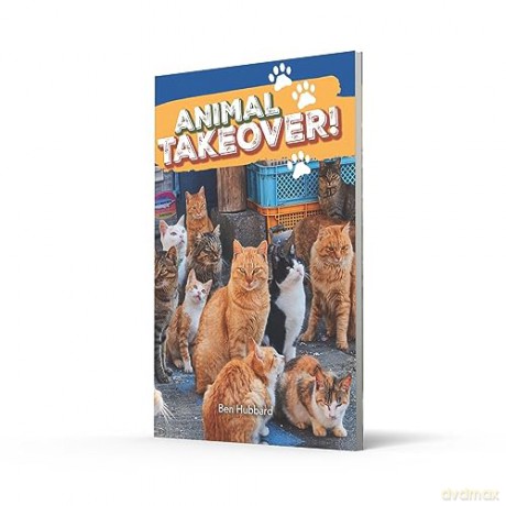 Big Cat Phonics Yr 3 Bk 9 Nf 2 [KSIĄŻKA]