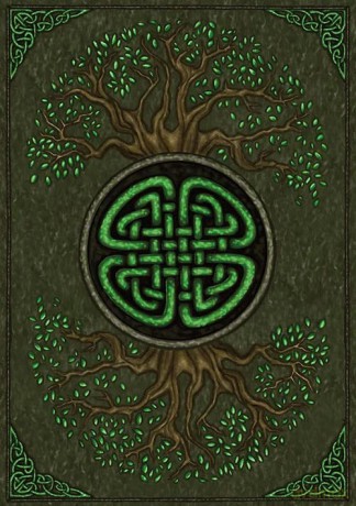 Earth Wisdom Oracle Or21 - Barbara Moore [KSIĄŻKA]