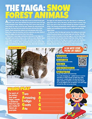Animal Kingdom - Happy Fox Books (Ed) [KSIĄŻKA]