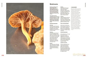 Complete Book Of French Cooking - Vincent Boue [KSIĄŻKA]