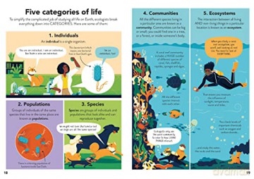 Ecology For Beginners - Andy Prentice [KSIĄŻKA]
