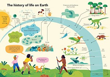 Ecology For Beginners - Andy Prentice [KSIĄŻKA]