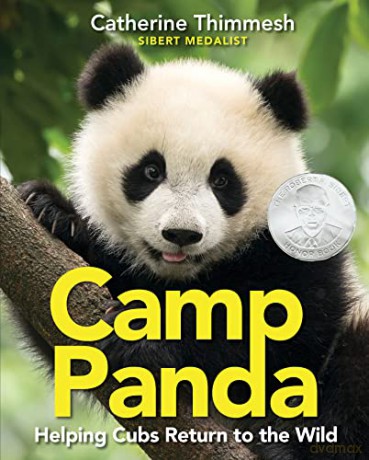 Camp Panda Pb - Thimmesh Catherine [KSIĄŻKA]