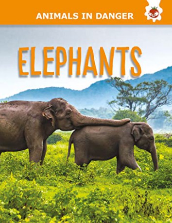 Animals In Dangerelephants - Kington Emily [KSIĄŻKA]
