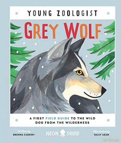 Grey Wolf Young Zoologist - Brenna J Cassidy [KSIĄŻKA]