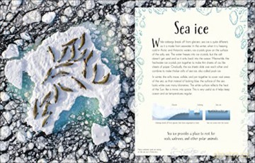 Anthology Of Our Extraordinary Earth - Cally Oldershaw [KSIĄŻKA]