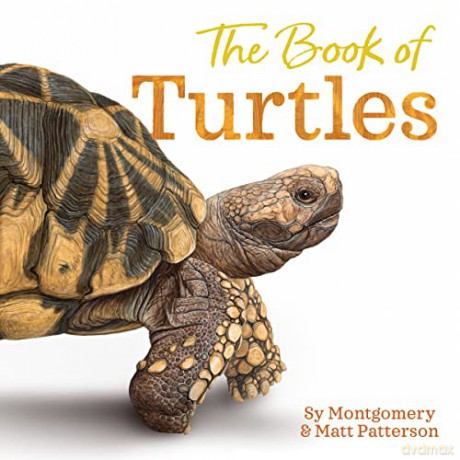 Book Of Turtles Hb - Montgomery Sy [KSIĄŻKA]