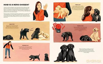 Dogs To The Rescue - Lucas Riera [KSIĄŻKA]