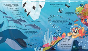 Can We Really Help The Dolphins - Katie Daynes [KSIĄŻKA]