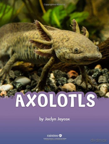 Axolotls - Jaclyn Jaycox [KSIĄŻKA]