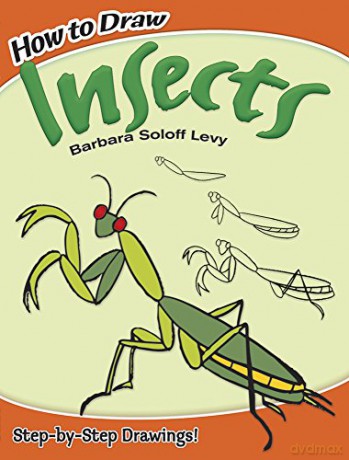How To Draw Insects - Barbara Soloff [KSIĄŻKA]