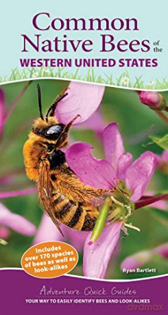 Common Native Bees Of The Western Unite [KSIĄŻKA]