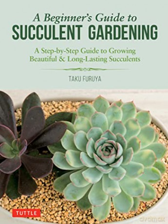 Beginners Guide To Succulent Gardening - Taku Furuya [KSIĄŻKA]