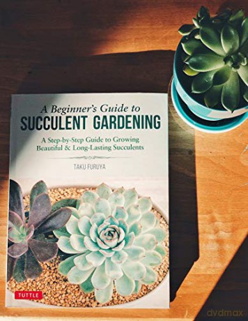 Beginners Guide To Succulent Gardening - Taku Furuya [KSIĄŻKA]