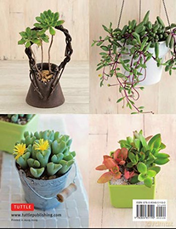 Beginners Guide To Succulent Gardening - Taku Furuya [KSIĄŻKA]