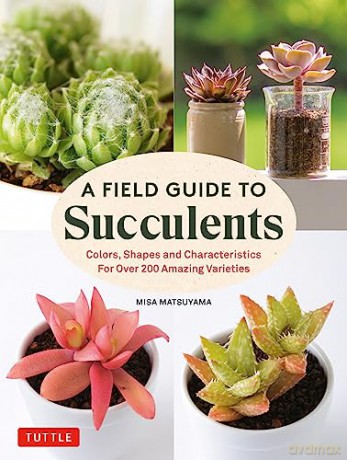Field Guide To Succulents - Misa Matsuyama [KSIĄŻKA]