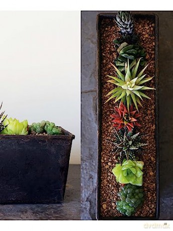 Field Guide To Succulents - Misa Matsuyama [KSIĄŻKA]