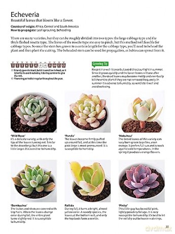 Field Guide To Succulents - Misa Matsuyama [KSIĄŻKA]