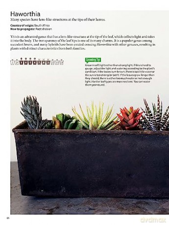 Field Guide To Succulents - Misa Matsuyama [KSIĄŻKA]