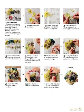 Field Guide To Succulents - Misa Matsuyama [KSIĄŻKA]