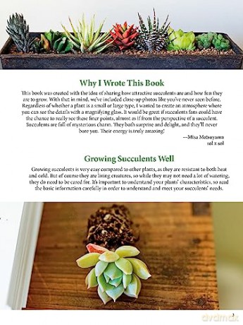Field Guide To Succulents - Misa Matsuyama [KSIĄŻKA]