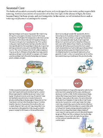 Field Guide To Succulents - Misa Matsuyama [KSIĄŻKA]
