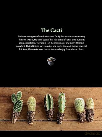 Field Guide To Succulents - Misa Matsuyama [KSIĄŻKA]