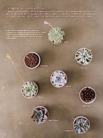 Field Guide To Succulents - Misa Matsuyama [KSIĄŻKA]