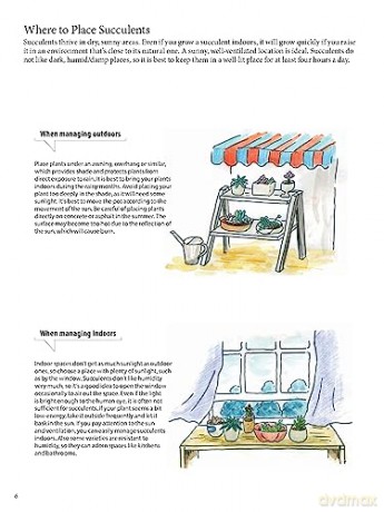 Field Guide To Succulents - Misa Matsuyama [KSIĄŻKA]