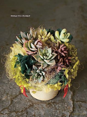 Field Guide To Succulents - Misa Matsuyama [KSIĄŻKA]