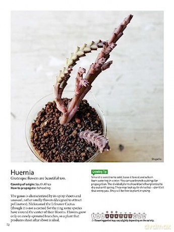 Field Guide To Succulents - Misa Matsuyama [KSIĄŻKA]