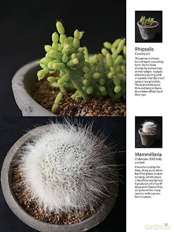 Field Guide To Succulents - Misa Matsuyama [KSIĄŻKA]