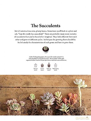 Field Guide To Succulents - Misa Matsuyama [KSIĄŻKA]