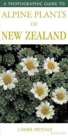 Alpine Plants Of New Zealand - Lawrie Metcalf [KSIĄŻKA]