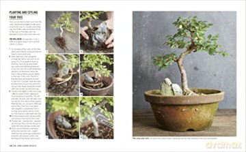 Grow Bonsai - Peter Warren [KSIĄŻKA]