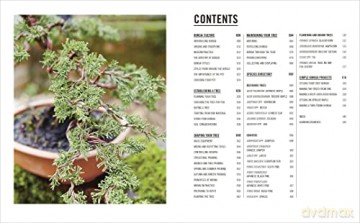 Grow Bonsai - Peter Warren [KSIĄŻKA]