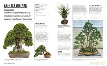 Grow Bonsai - Peter Warren [KSIĄŻKA]