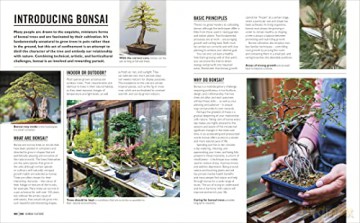 Grow Bonsai - Peter Warren [KSIĄŻKA]