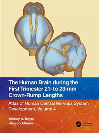 Human Brain During The First Trimester 2 - Shirley A. Bayer [KSIĄŻKA]