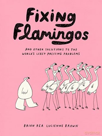 Fixing Flamingos - Lucienne Brown [KSIĄŻKA]