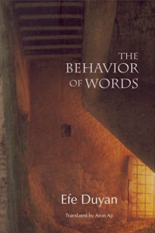 Behavior Of Words [KSIĄŻKA]