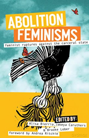 Abolition Feminisms Vol. 2 - Alisa Bierria [KSIĄŻKA]