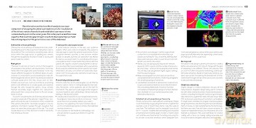 Graphic Design School 8th Edition - David Dabner [KSIĄŻKA]