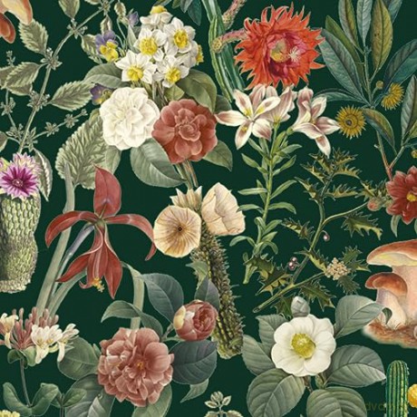 Botanical Art To Cut Out & Collage - Royal Botanic Garden [KSIĄŻKA]