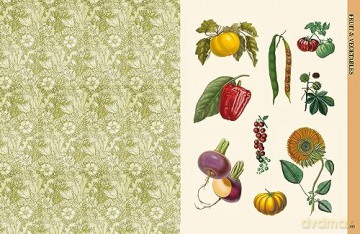 Botanical Art To Cut Out & Collage - Royal Botanic Garden [KSIĄŻKA]