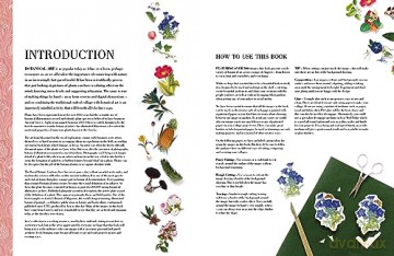Botanical Art To Cut Out & Collage - Royal Botanic Garden [KSIĄŻKA]