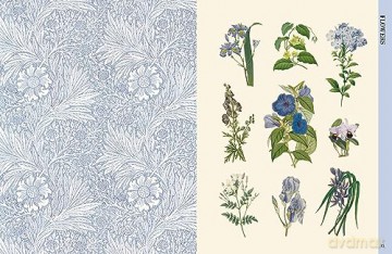 Botanical Art To Cut Out & Collage - Royal Botanic Garden [KSIĄŻKA]