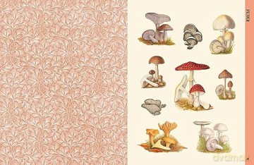 Botanical Art To Cut Out & Collage - Royal Botanic Garden [KSIĄŻKA]