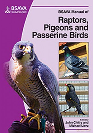 Bsava Manual Of Raptors Pigeons And Pa - Chitty [KSIĄŻKA]